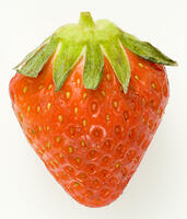 イチゴ [NIC110000535]