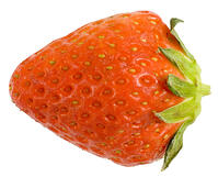 イチゴ [NIC110000536]