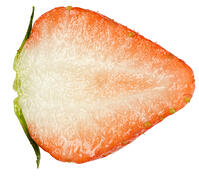 イチゴの断面 [NIC110000537]