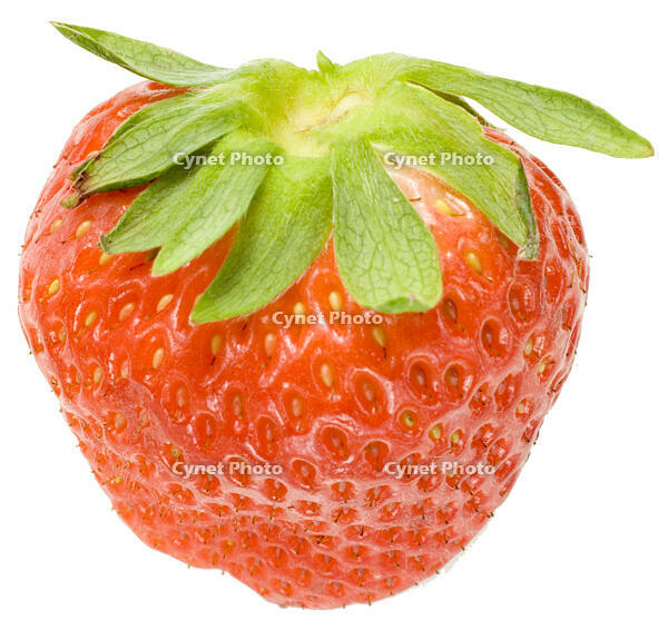 イチゴ [NIC110000503]