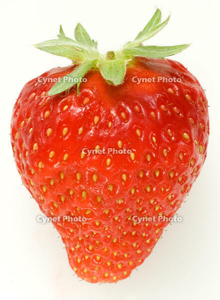 イチゴ [NIC110000504]