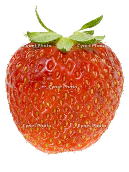 イチゴ [NIC110000506]