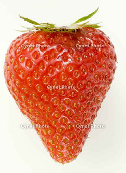 イチゴ [NIC110000508]
