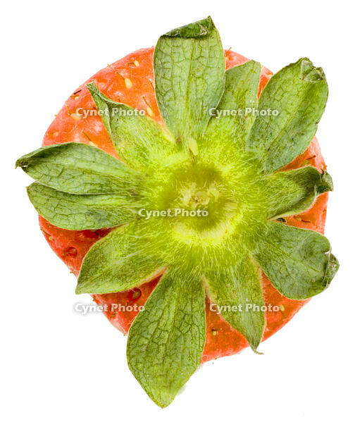 イチゴ [NIC110000514]