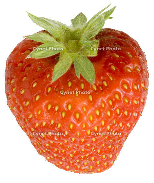 イチゴ [NIC110000515]