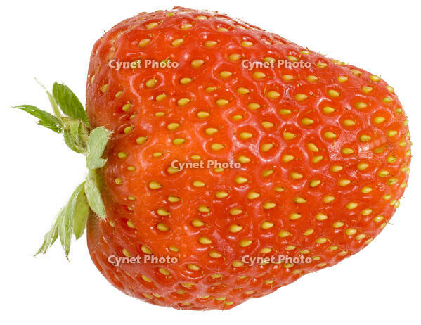 イチゴ [NIC110000516]