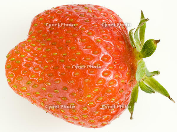 イチゴ [NIC110000517]