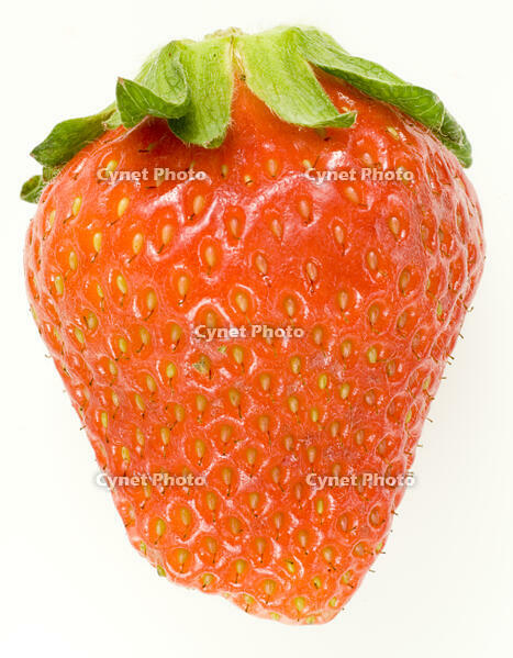 イチゴ [NIC110000519]
