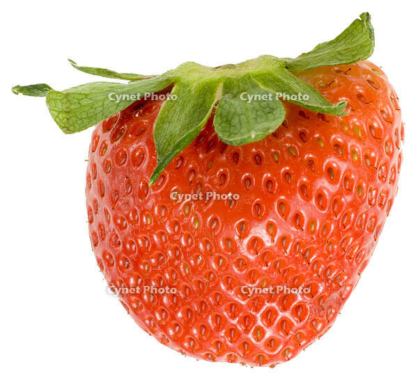 イチゴ [NIC110000520]