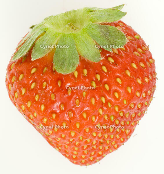 イチゴ [NIC110000521]