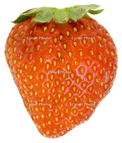 イチゴ [NIC110000522]