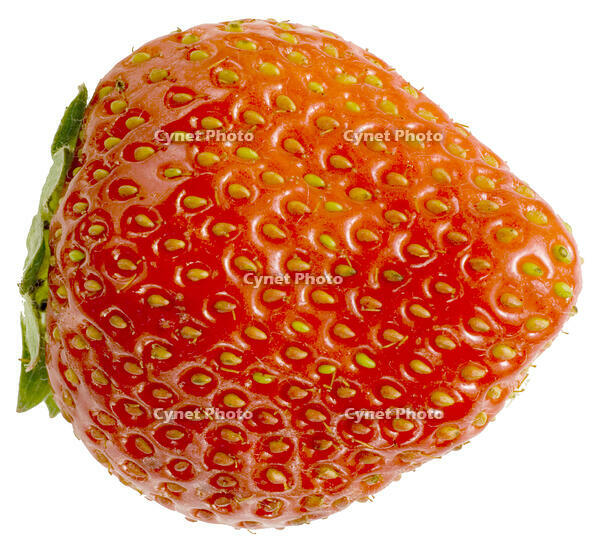 イチゴ [NIC110000524]