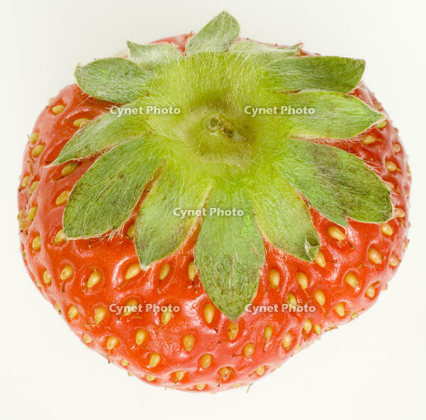 イチゴ [NIC110000525]