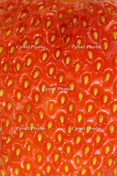 イチゴの表面 [NIC110000526]
