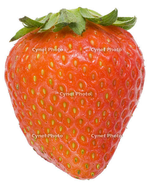 イチゴ [NIC110000527]