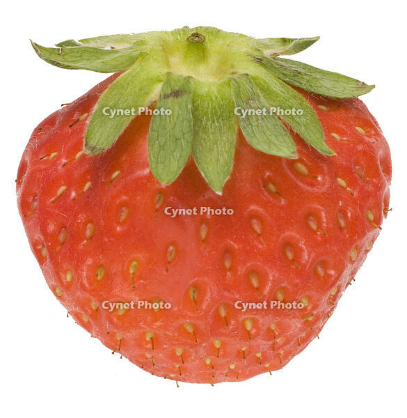 イチゴ [NIC110000528]