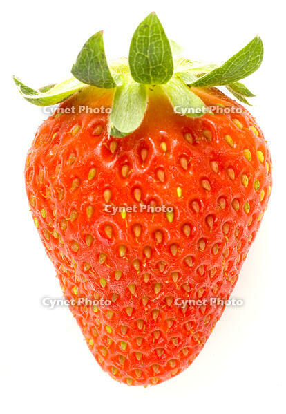 イチゴ [NIC110000529]