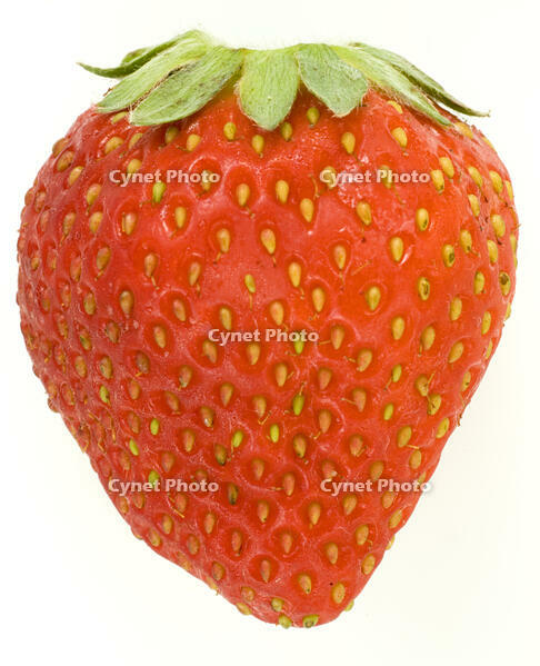 イチゴ [NIC110000531]