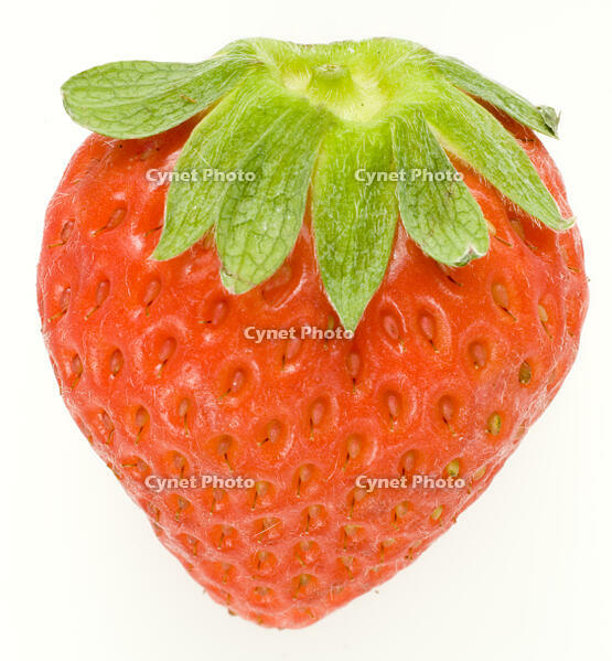 イチゴ [NIC110000532]