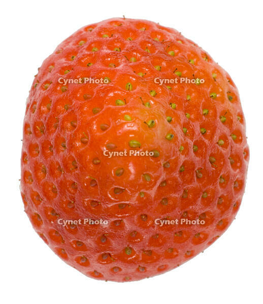 イチゴの尻 [NIC110000534]