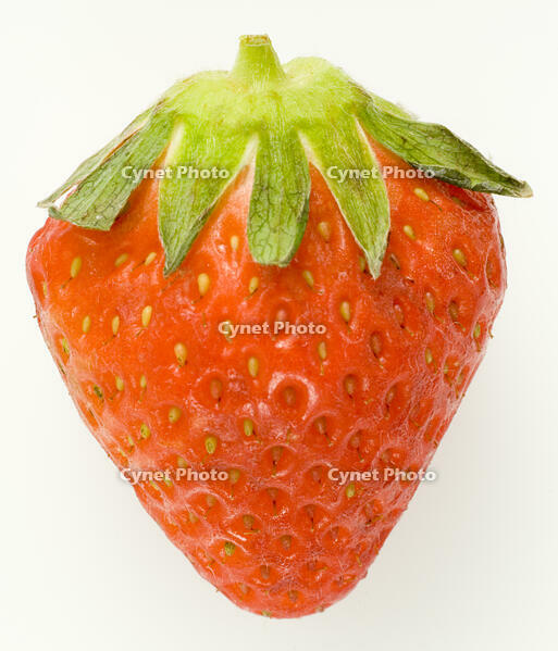 イチゴ [NIC110000535]