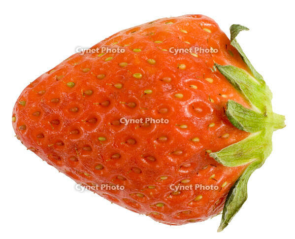 イチゴ [NIC110000536]
