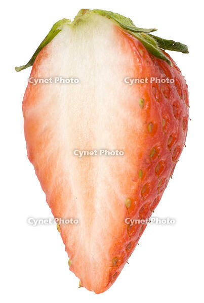 イチゴの断面 [NIC110000538]