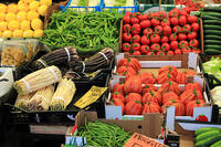 ベネチアの八百屋 [HMA110003338]