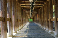 奈良県　長谷寺の登廊 [HMA110003349]