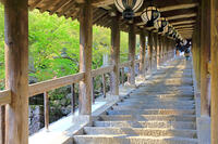 奈良県　長谷寺の登廊 [HMA110003350]