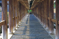 奈良県　長谷寺の登廊 [HMA110003360]