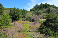 奈良県　談山神社　 [HMA110003361]