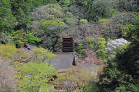 奈良県　談山神社　 [HMA110003362]