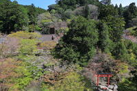 奈良県　談山神社　 [HMA110003364]