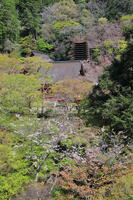 奈良県　談山神社　 [HMA110003365]
