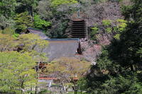 奈良県　談山神社　 [HMA110003366]