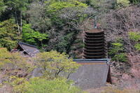 奈良県　談山神社　 [HMA110003367]