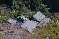 民家の屋根瓦　奈良　桜井市 [HMA110003369]