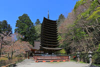 奈良県　談山神社　十三重塔 [HMA110003372]