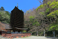 奈良県　談山神社　十三重塔 [HMA110003373]