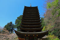 奈良県　談山神社　十三重塔 [HMA110003376]