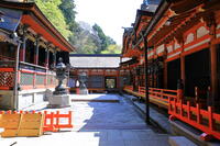 奈良県　談山神社　本殿と拝殿 [HMA110003377]