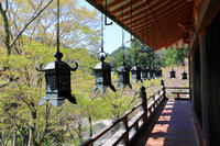 奈良県　談山神社　拝殿の釣り灯籠 [HMA110003380]