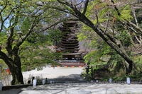 奈良県　談山神社　十三重塔 [HMA110003381]