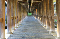 奈良県　長谷寺の登廊 [HMA110003382]