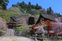 奈良県　談山神社　 [HMA110003385]