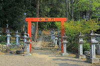 奈良県　安倍文殊院　合格門 [HMA110003401]