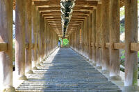 奈良県　長谷寺の登廊 [HMA110003404]