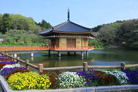 奈良県　安倍文殊院　金閣浮御堂・霊宝館 [HMA110003405]