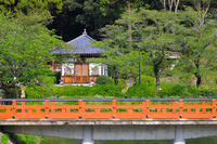 奈良県　安倍文殊院　不動堂 [HMA110003406]